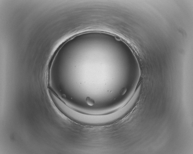 X0000116161519200912071314