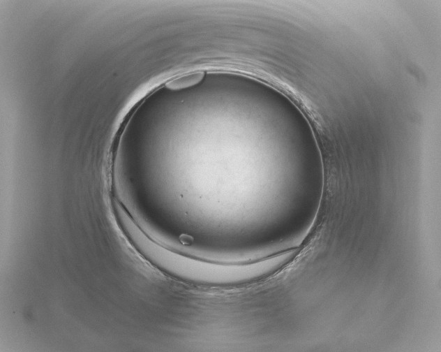 X0000116161522200912071314