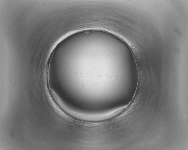 X0000116161526200912071314