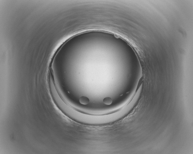 X0000116161527200912071314