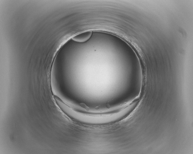 X0000116161529200912071314