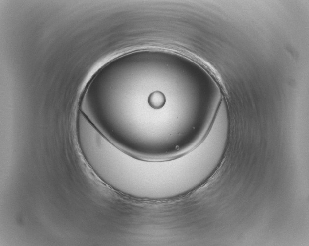 X0000116161530200912071314