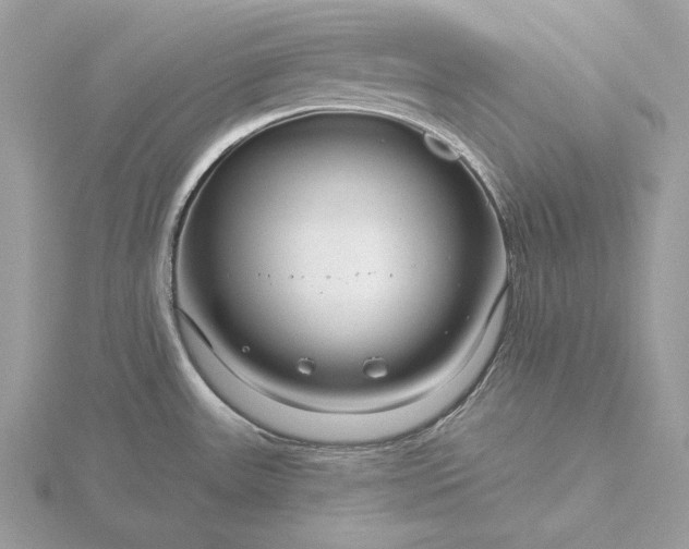 X0000116161531200912071314