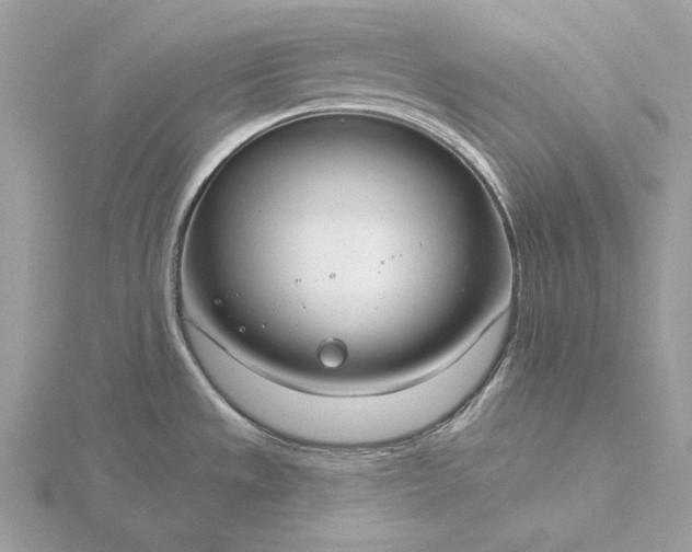 X0000116161533200912071314