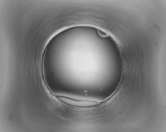 X0000116161534200912071314