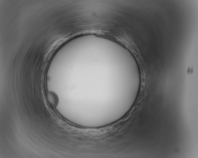 X0000116160001200912141231