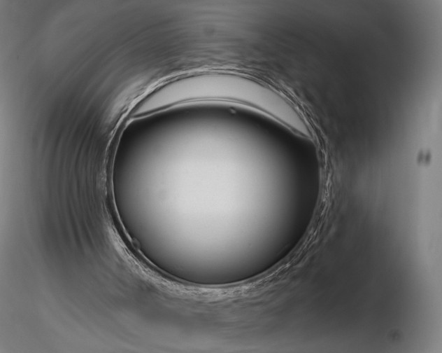 X0000116160002200912141231