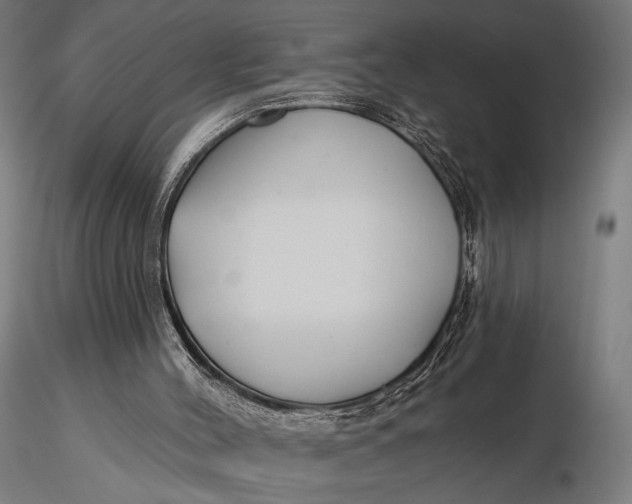 X0000116160004200912141231
