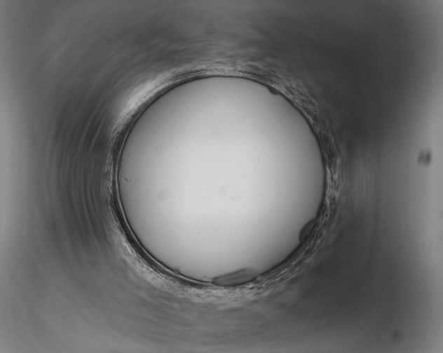 X0000116160005200912141231
