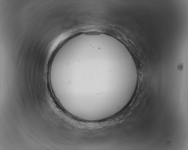 X0000116160006200912141231
