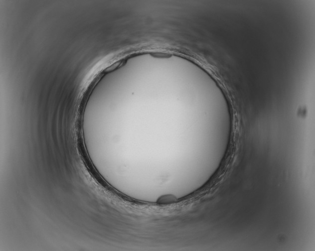 X0000116160007200912141231