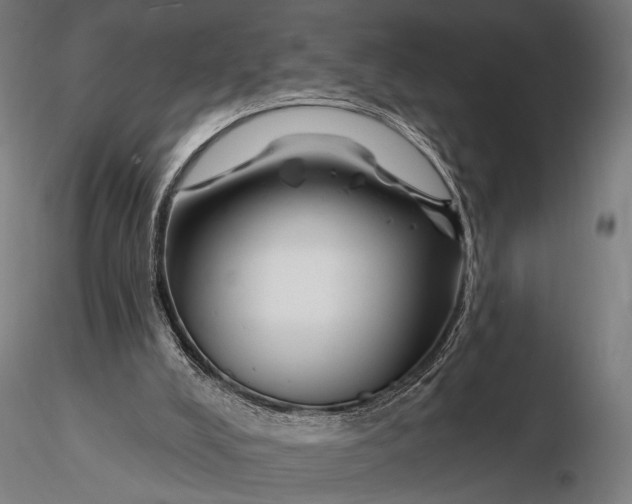 X0000116160008200912141231