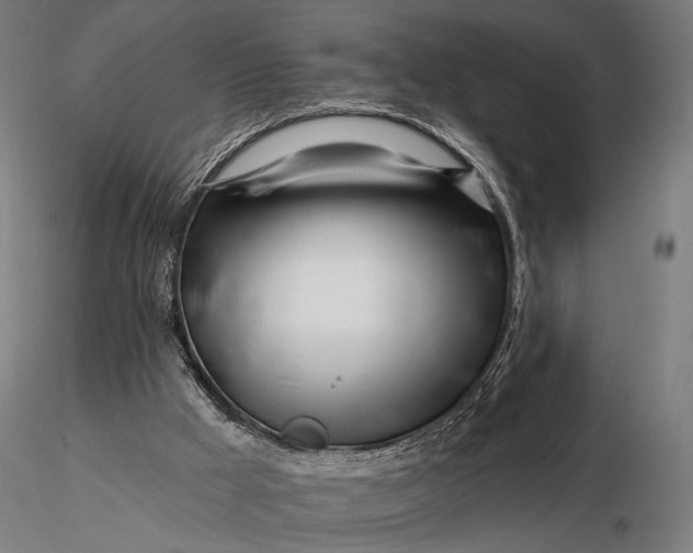 X0000116160009200912141231