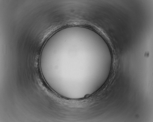 X0000116160010200912141231