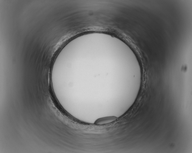 X0000116160011200912141231