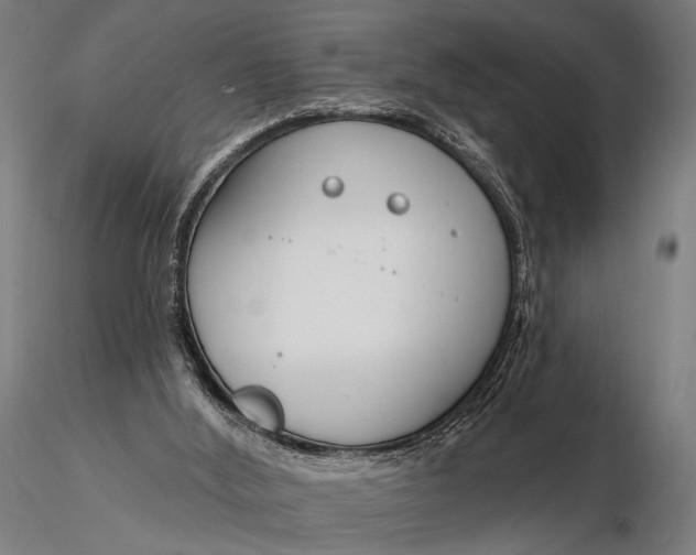X0000116160012200912141231
