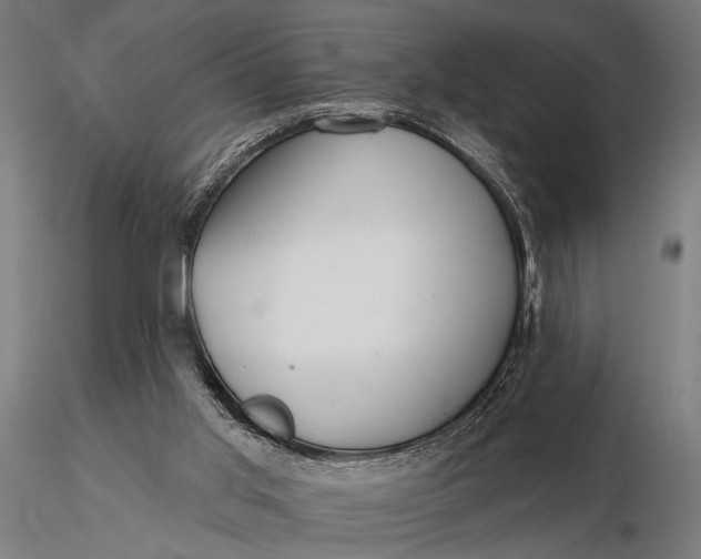 X0000116160013200912141231