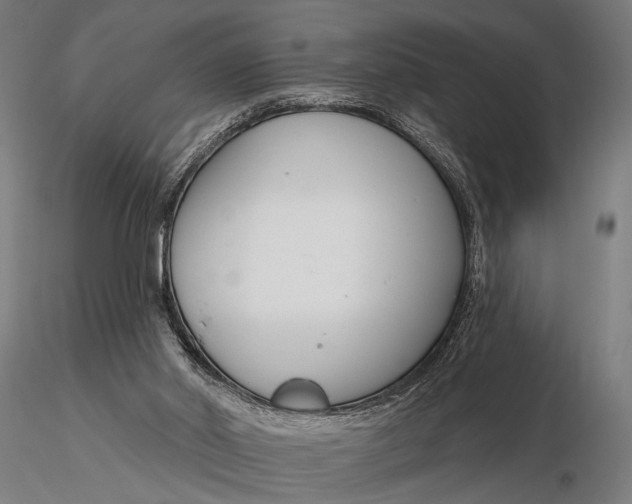 X0000116160014200912141231