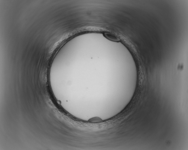 X0000116160015200912141231