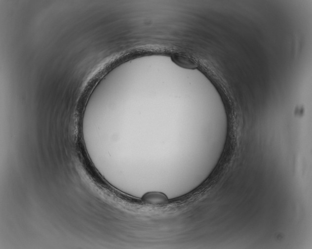 X0000116160016200912141231