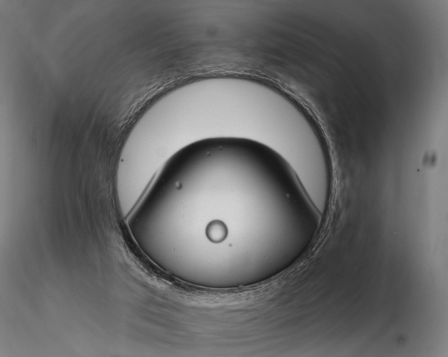 X0000116160017200912141231