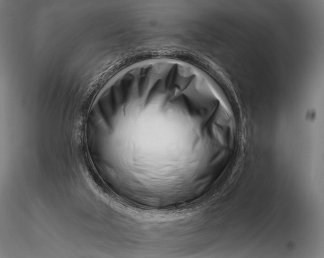 X0000116160018200912141231