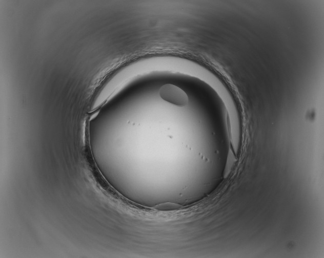 X0000116160019200912141231