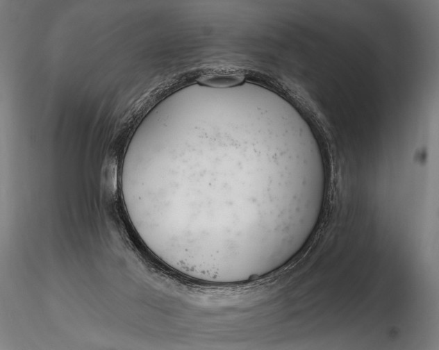 X0000116160021200912141231