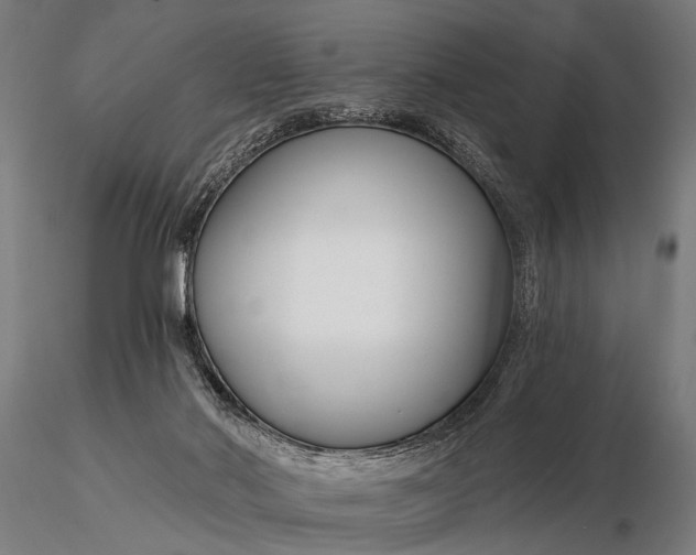 X0000116160022200912141231