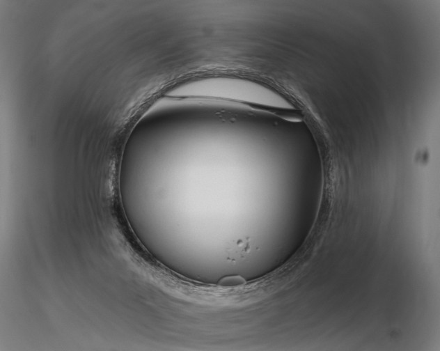 X0000116160023200912141231