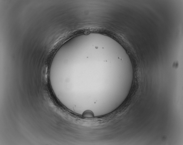 X0000116160024200912141231
