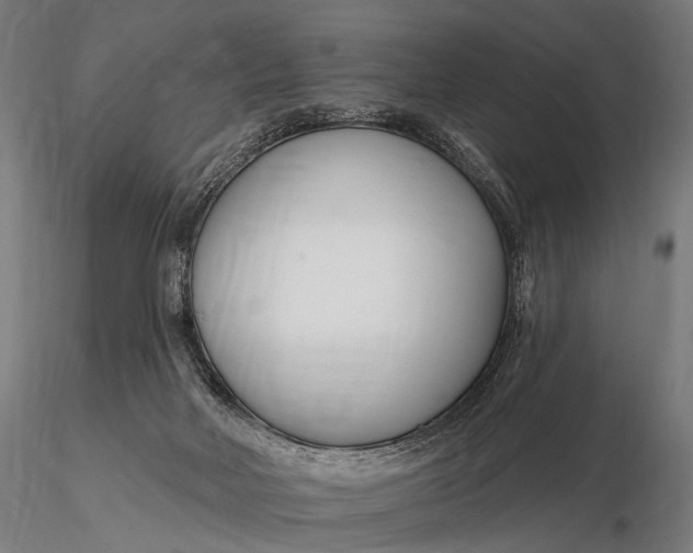 X0000116160026200912141231