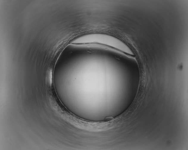 X0000116160027200912141231