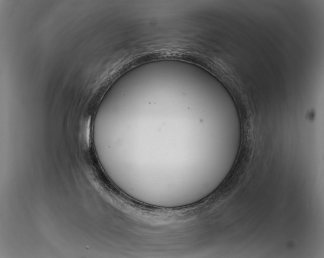 X0000116160028200912141231