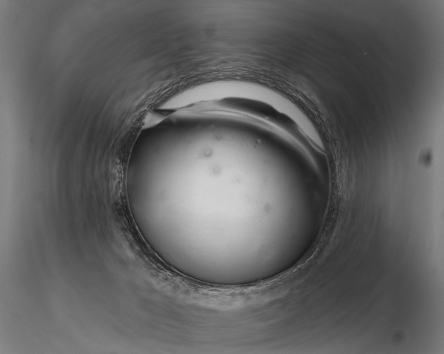X0000116160029200912141231