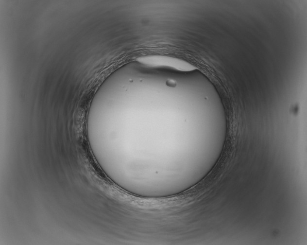X0000116160030200912141231