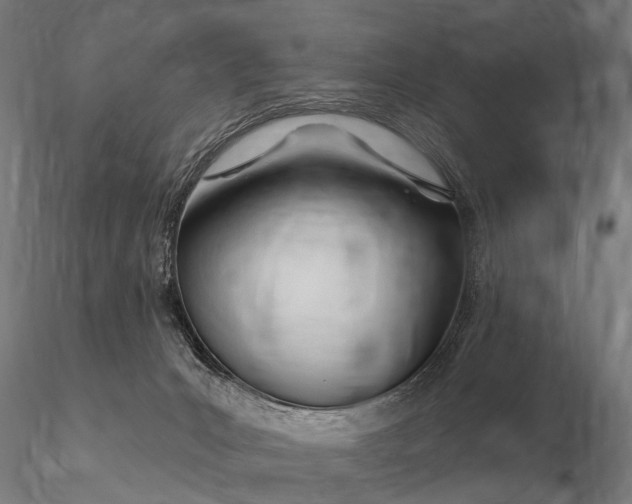 X0000116160031200912141231