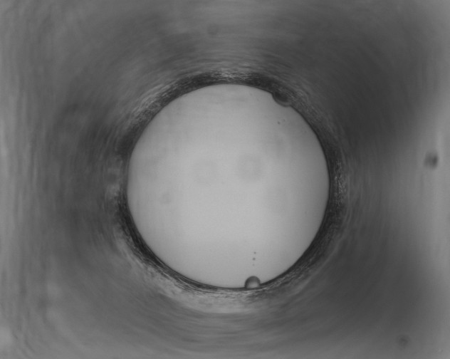 X0000116160032200912141231