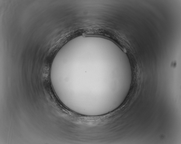 X0000116160033200912141231