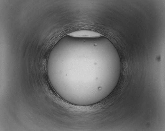 X0000116160034200912141231