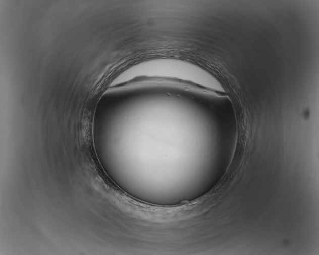 X0000116160035200912141231