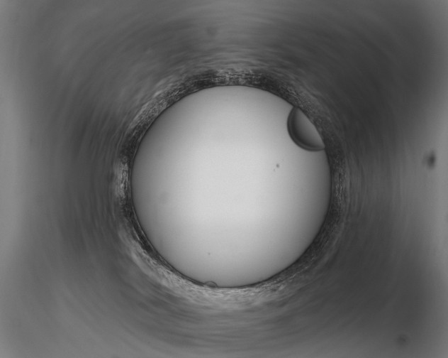 X0000116160038200912141231