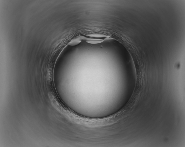 X0000116160039200912141231