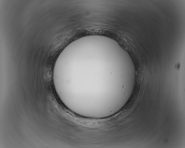 X0000116160040200912141230