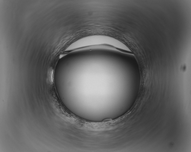 X0000116160041200912141230