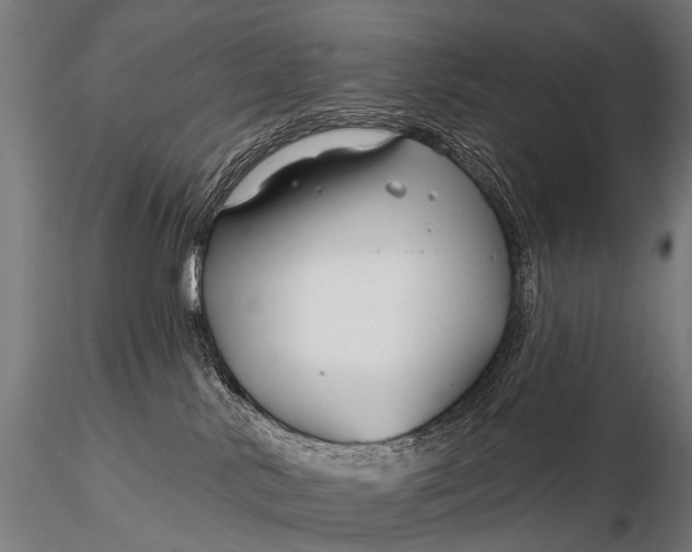 X0000116160042200912141230