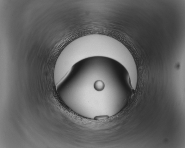 X0000116160043200912141230