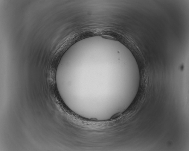 X0000116160044200912141230