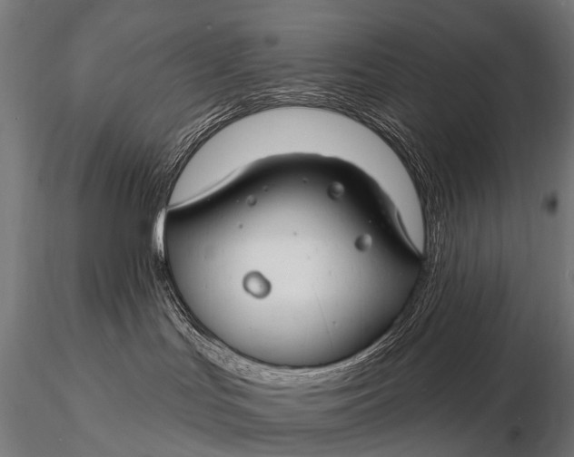 X0000116160047200912141230