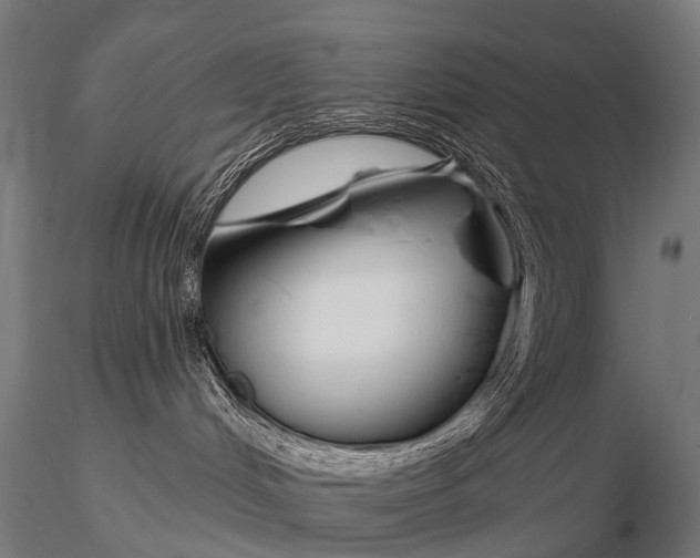 X0000116160048200912141230